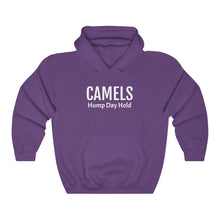 Load image into Gallery viewer, $WEN Hump Day Hold Camels Hooded Sweatshirt
