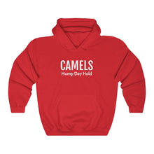 Load image into Gallery viewer, $WEN Hump Day Hold Camels Hooded Sweatshirt
